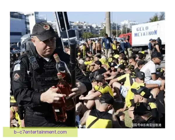解放者杯决赛球迷骚乱引发赛场迁移至马德里